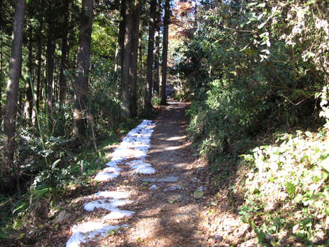 20151127hike (244)